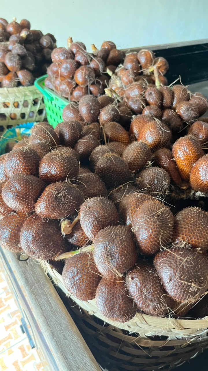 Buah salak segar hasil kebun warga